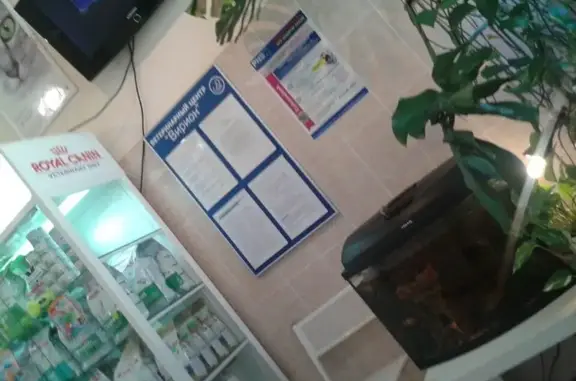 Вирион, ветеринарный центр