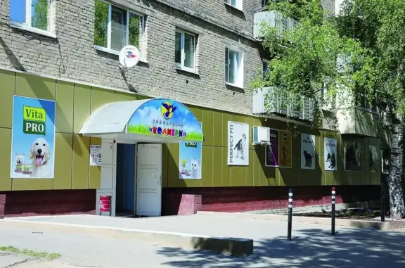 Зоомагазин Дивный Колибри на улице Пушкина