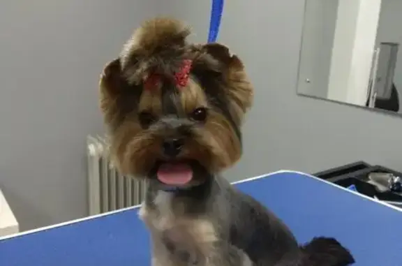 Зоосалон Моя Забава