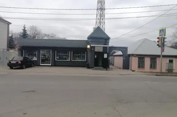 Айболит, ветеринарная клиника