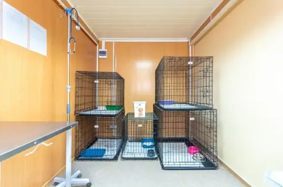 Ветхелп+, ветеринарный кабинет