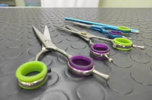 Студия груминга Лайки в Мариинском Посаде