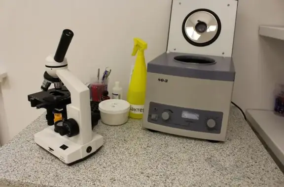 ГУФФИ, ветеринарная клиника