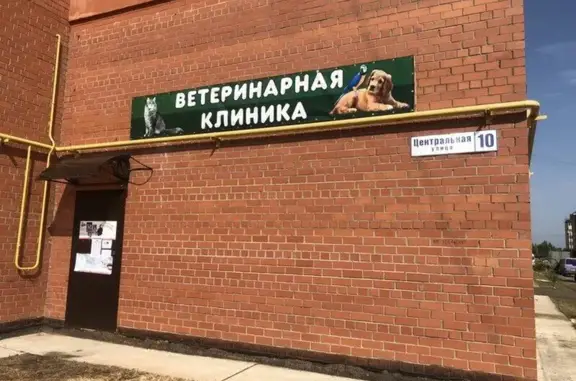 СОВвет, ветеринарная клиника