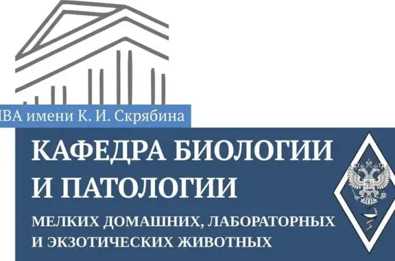Московская государственная академия ветеринарной медицины и биотехнологии им. К.И. Скрябина, отделение болезней мелких домашних, лабораторных и экзотических животных
