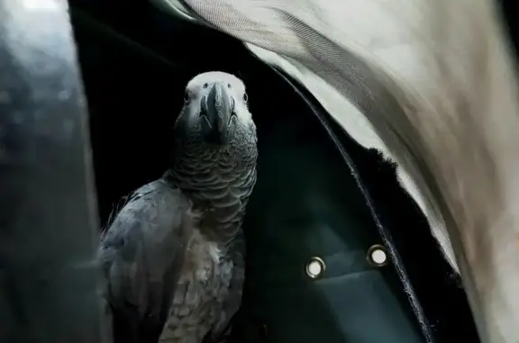 Друг, ветеринарная клиника