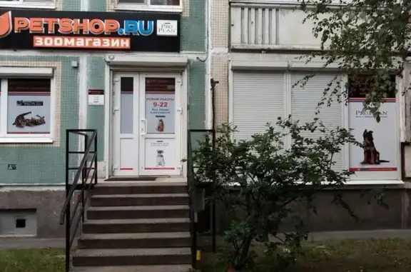 Зоомагазин Petshop на проспекте Просвещения, 30