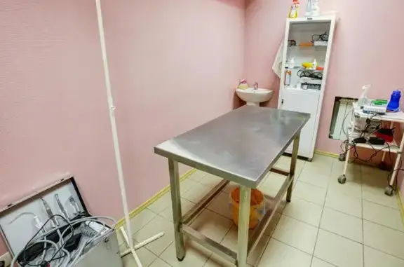 Вет Плюс, ветеринарная клиника