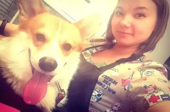 Ветеринарная клиника Елены Филипповой