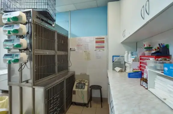 Ветеринарная клиника Академ-сервис на проспекте Победы