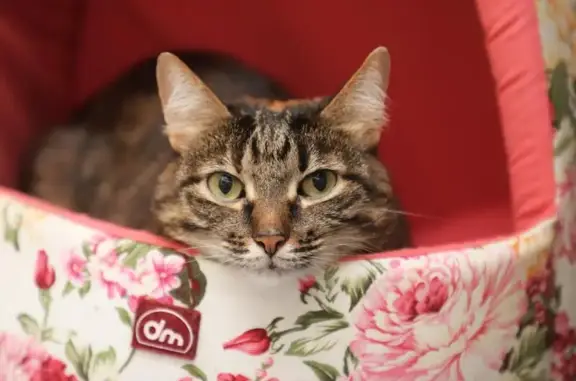 Верный друг, ветеринарная клиника