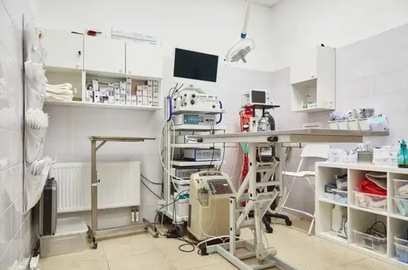 Косточка, ветеринарная клиника