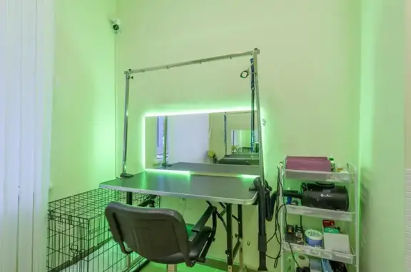 Галвет, ветеринарный кабинет