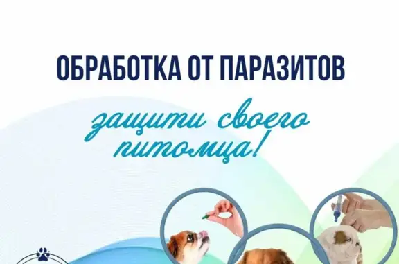 Ветеринарный центр Крошка Енот на метро Ломоносовская