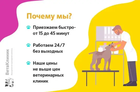 Вета на метро Лианозово