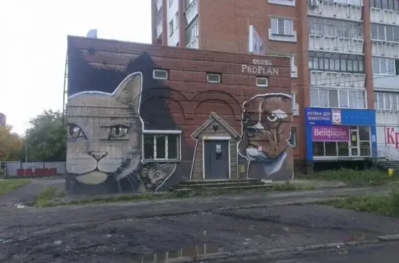 Ковчег, зооцентр