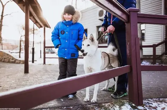 Приют для животных Бим