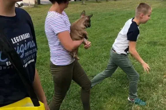 Ласка, ветеринарный центр