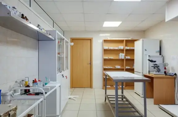 Котофеич, ветеринарная клиника