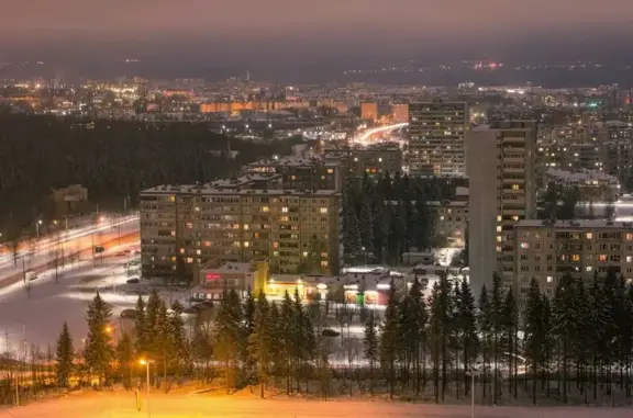 Зоомаркет Лента на Комсомольском проспекте