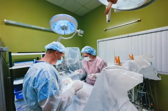 Корветцентр, ветеринарная клиника