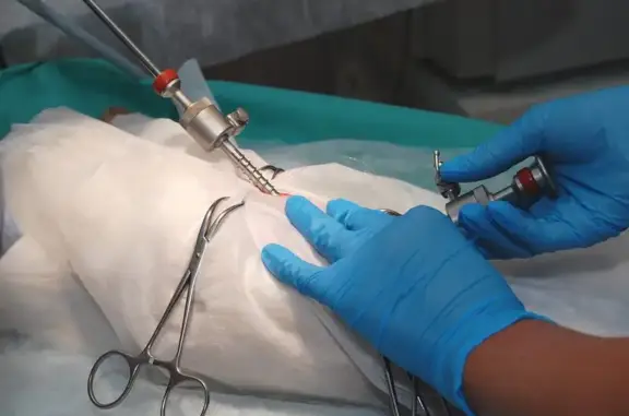 Ветеринарная клиника Зоовита на улице Закиева