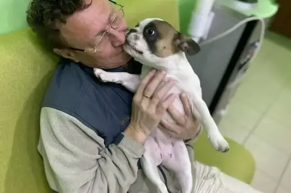 Зоогостиница для собак Dog holidays