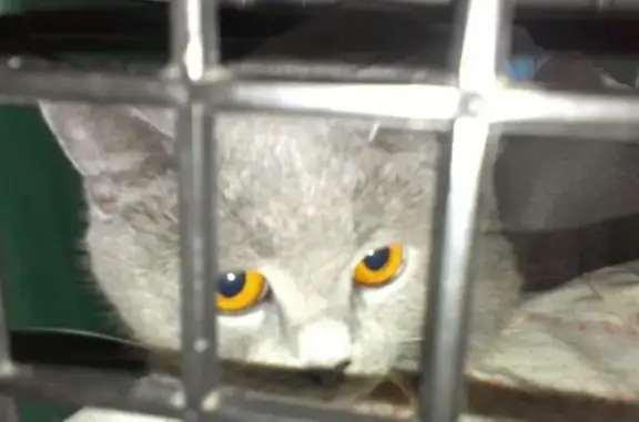 Зоомагазин Сами с усами на Куйбышевском шоссе