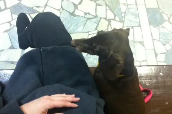 Государственное ветеринарное объединение г. Набережные Челны