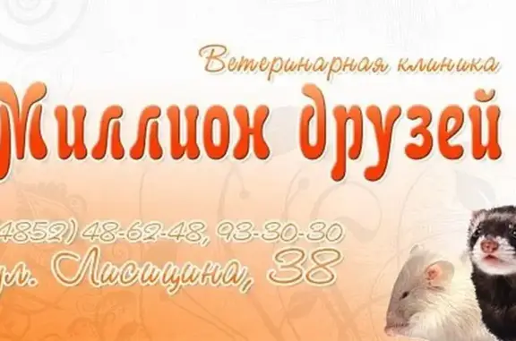 Миллион Друзей, ветеринарный центр