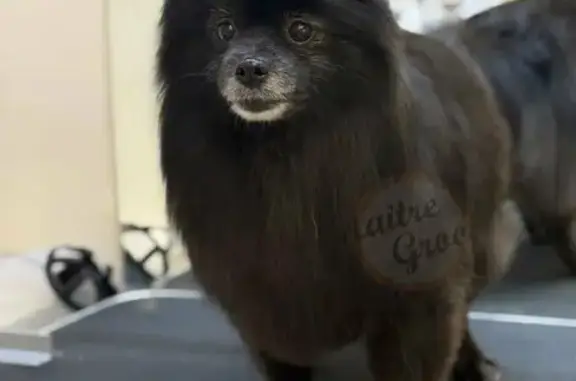 Зоосалон Maitre groom на Чонгарском бульваре