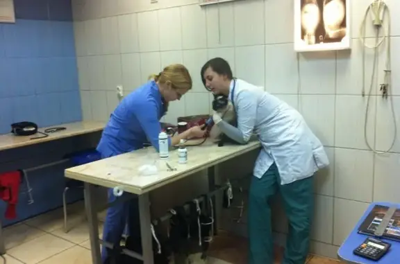 Ветеринарная клиника Захаров и Фарафонтова на улице Аллея Смелых