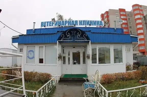 Ветеринарная клиника Доктор Зоо