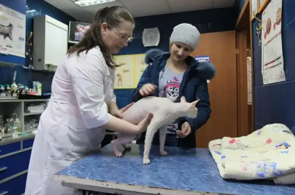 Рекс, ветеринарная клиника