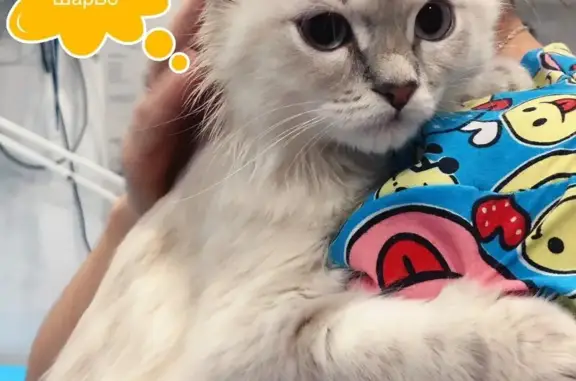 ШарБо, ветеринарный кабинет