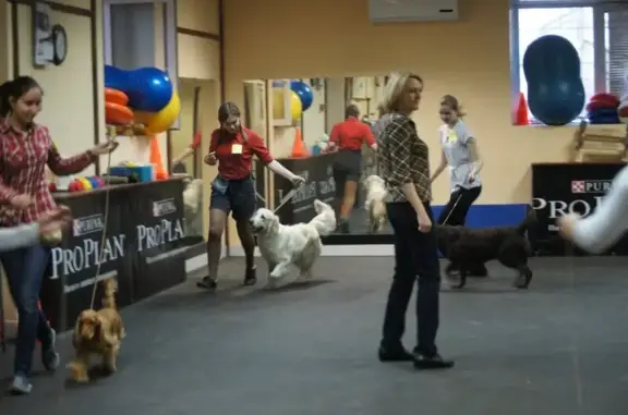 Дог-центр Зооспорт на улице Перелета