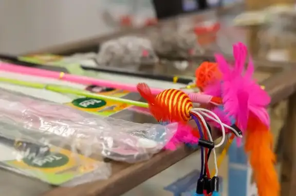 Sarabi, ветеринарная клиника