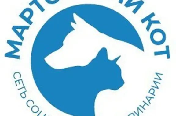 Клиника доктора Шелякова М.А. на метро Братиславская