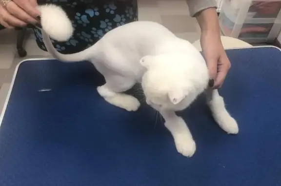 Зоосалон Animal Beauty Centre