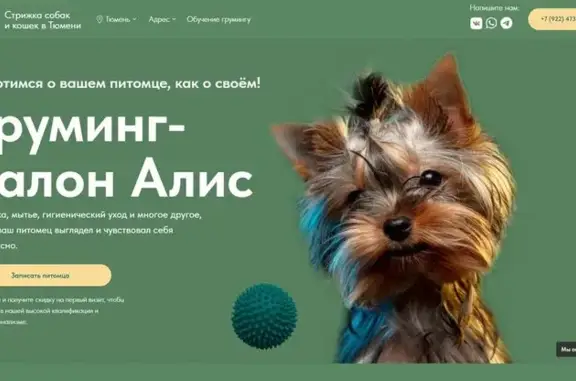 Груминг-салон для животных Алис