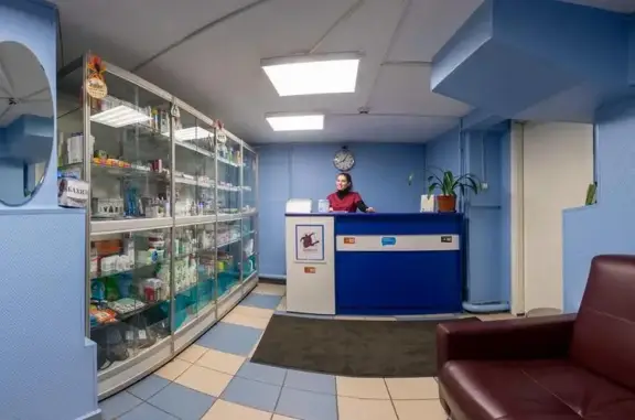 Domvet, ветеринарная клиника