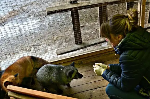 Ветеринарная клиника, Курганская областная общественная организация защиты животных