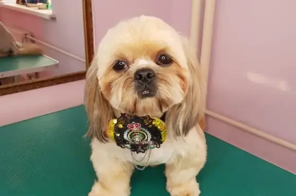 Груминг-салон на улице Коммунаров