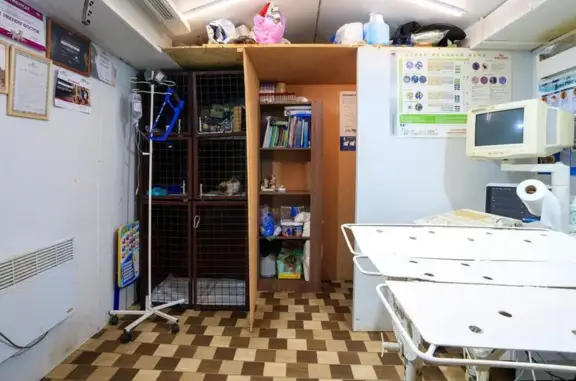 ДомУшкинВет, ветеринарная клиника