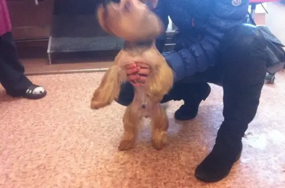 Зоопарикмахерская Райский уголок