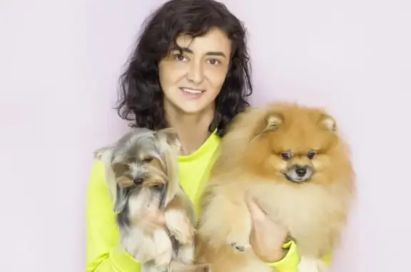 Груминг-студия ЭстетГрум на Веронской улице