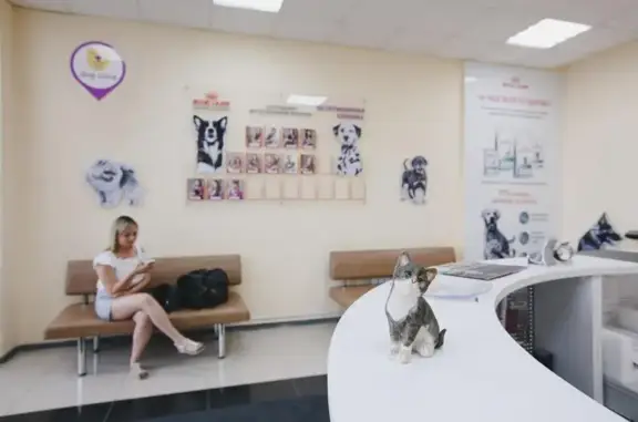 Ветеринарная клиника Зоомакс на улице Братьев Кашириных