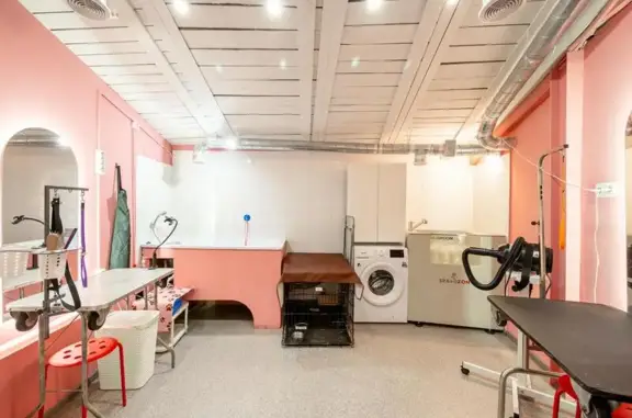 Студия груминга Сбоку бантик