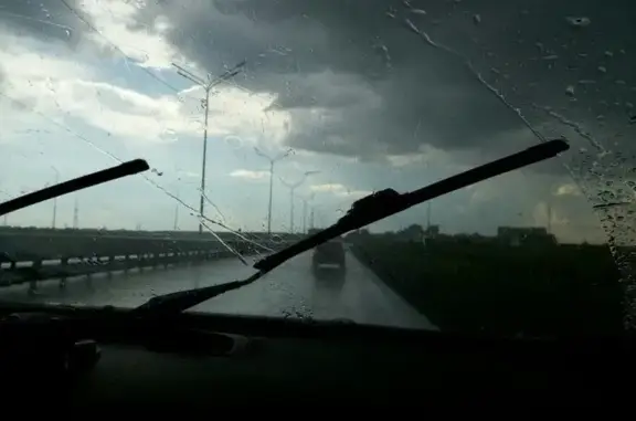 Зоомаркет Лента