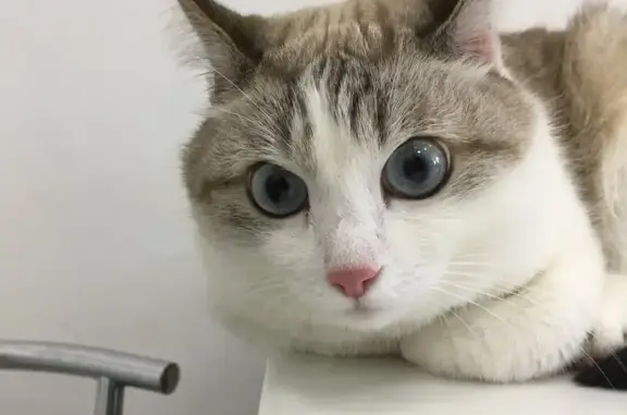 Вет.Статус, ветеринарная клиника